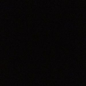 Meet your Posher, Sophia